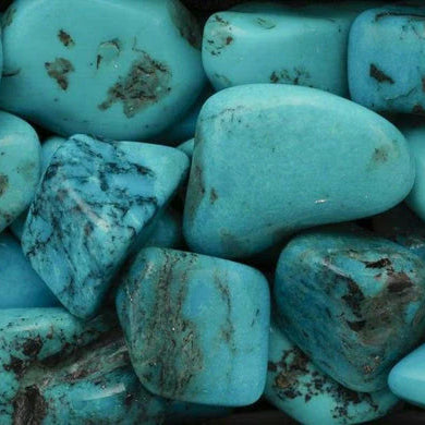 🌍 Turquoise d'Afrique